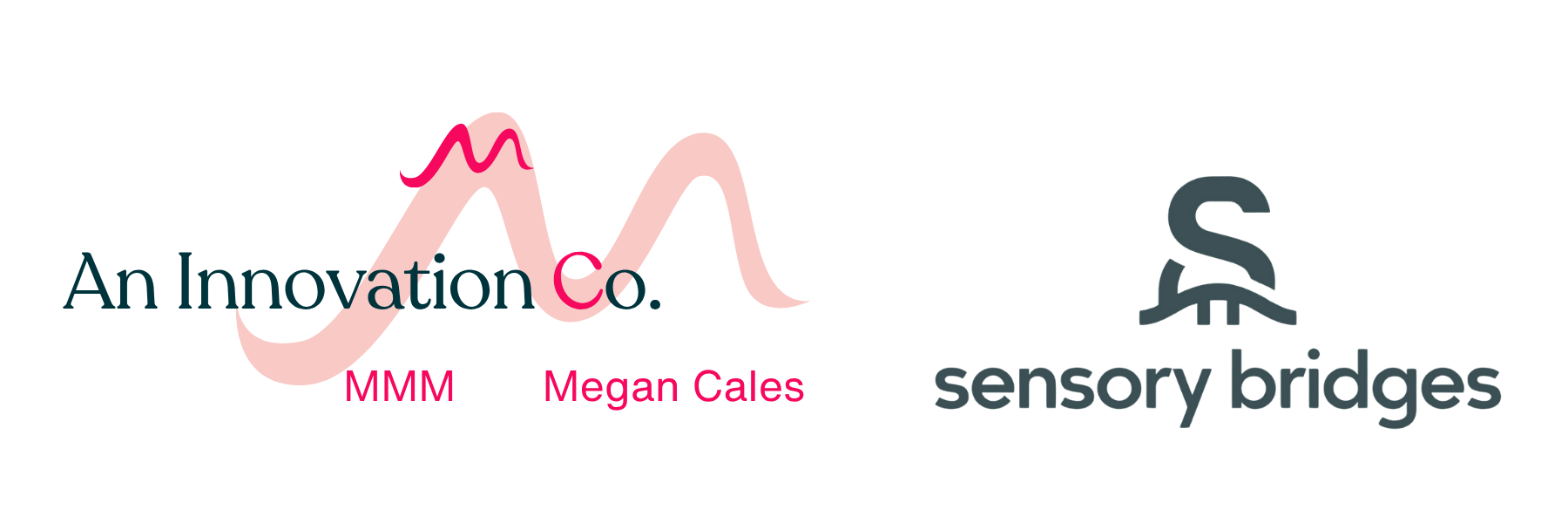 sensory bridges | An Innovation Co. — MMMmc LLC, Megan Cales